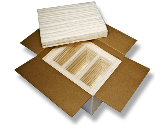 Biodegradable Foam